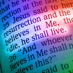Bible text - I AM THE RESURRECTION AND THE LIFE