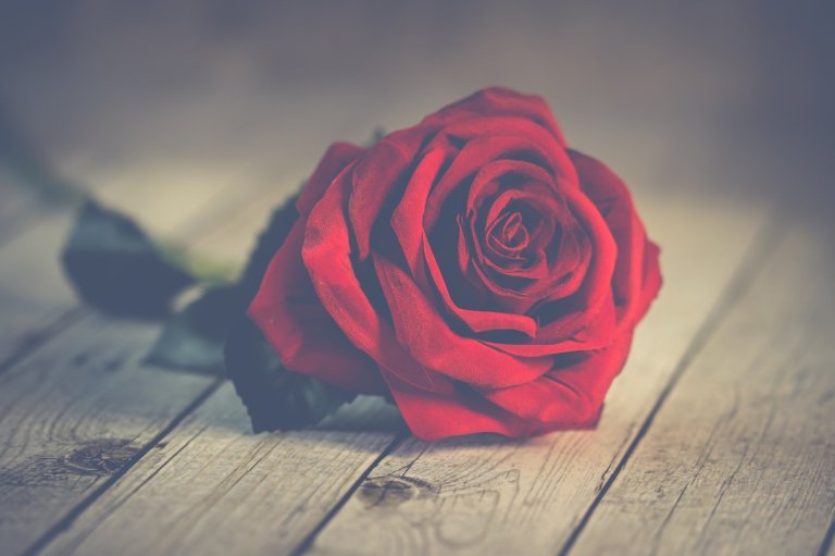 valentines valentines