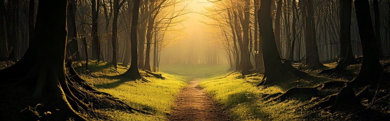 blog forest hope blog forest hope